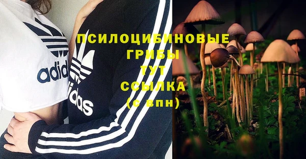 экстази Арсеньев