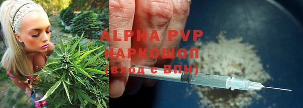 экстази Арсеньев
